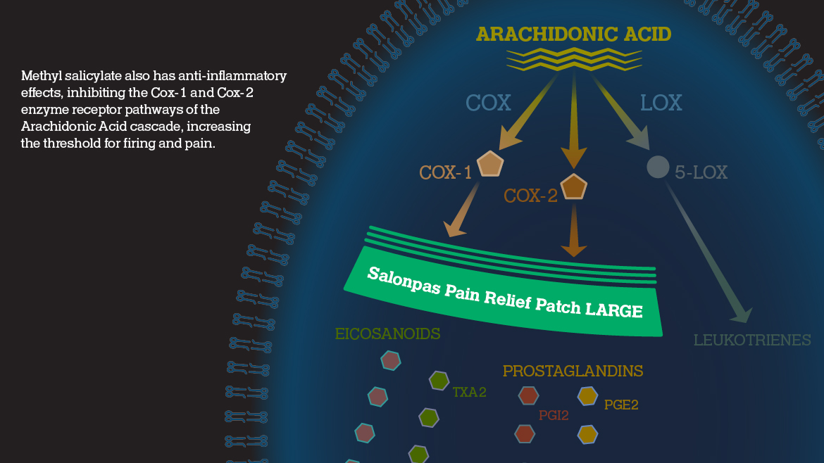 Mechanism of Action diagram for Salonpas® Pain Relief Patch LARGE