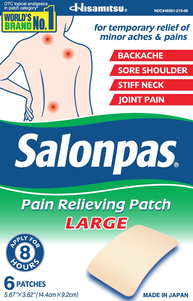 Salonpas&reg; Pain Relieving Patch LARGE